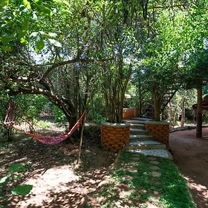The Thick Forest Lodge Sigirîya