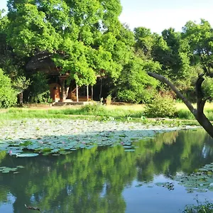 Back Of Beyond - Wild Haven Lodge Sigirîya